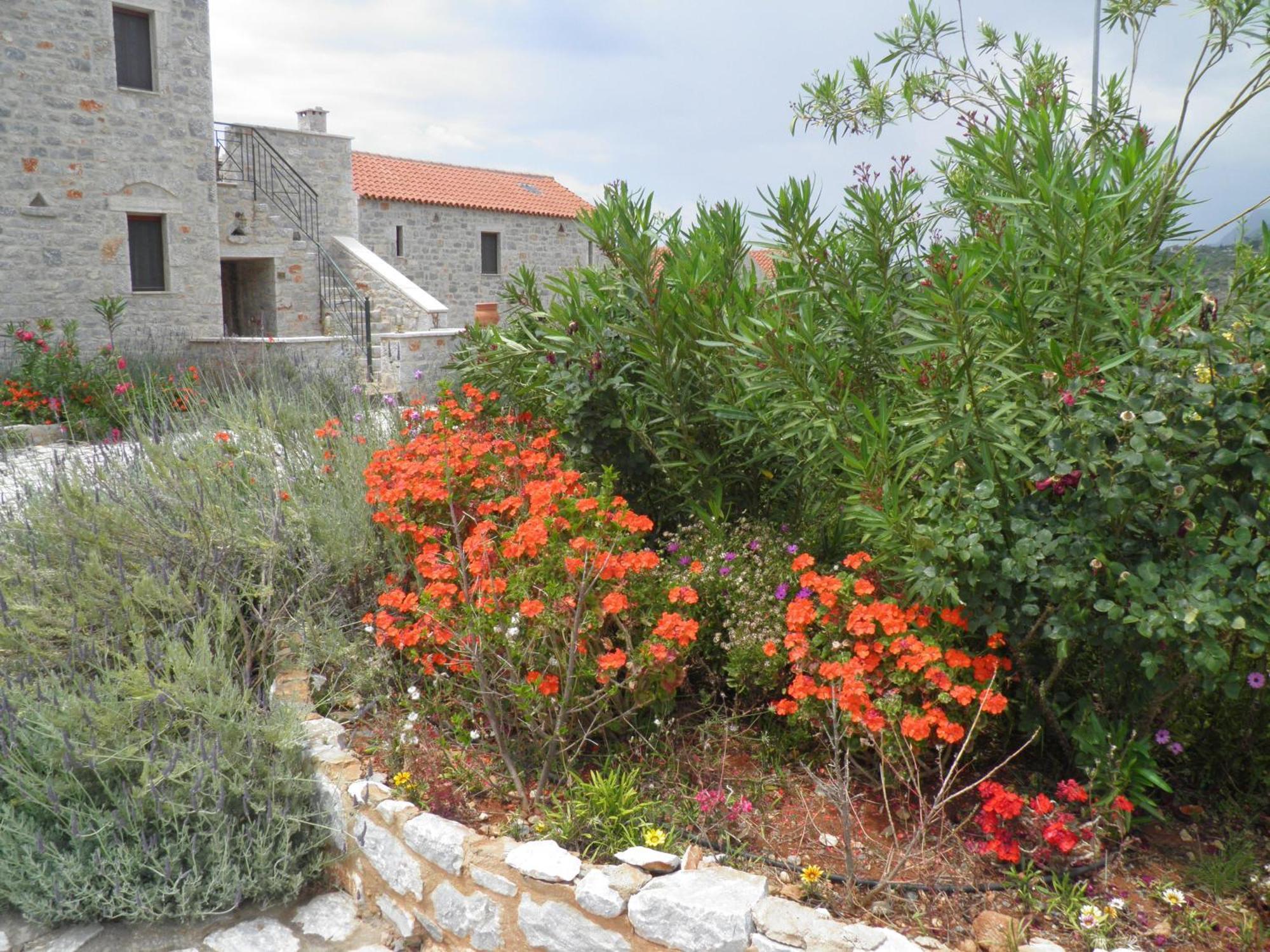 אראופוליס Althea Village מראה חיצוני תמונה
